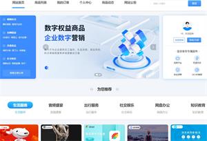 小皮权益